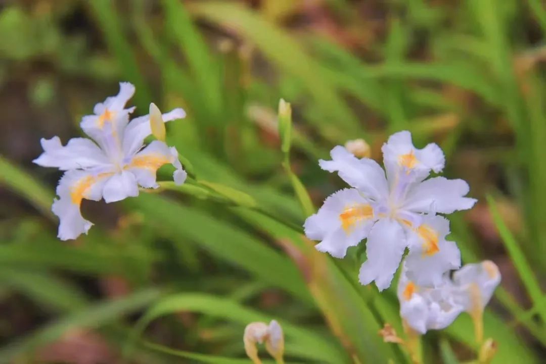 太阳城官网(中国集团)有限公司